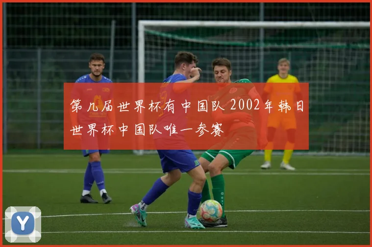 第几届世界杯有中国队 2002年韩日世界杯中国队唯一参赛