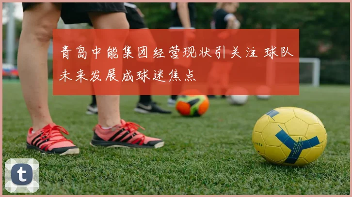 青岛中能集团经营现状引关注 球队未来发展成球迷焦点