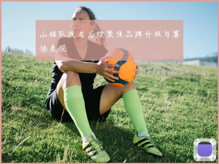 山猫队改名后续聚焦品牌升级与赛场表现