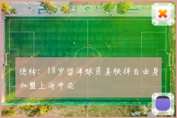 德转:18岁留洋球员姜轶祥自由身加盟上海申花