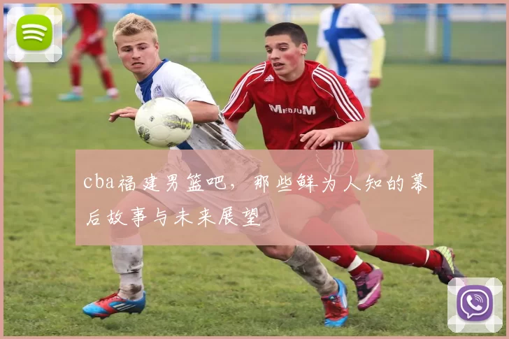 cba福建男篮吧,那些鲜为人知的幕后故事与未来展望