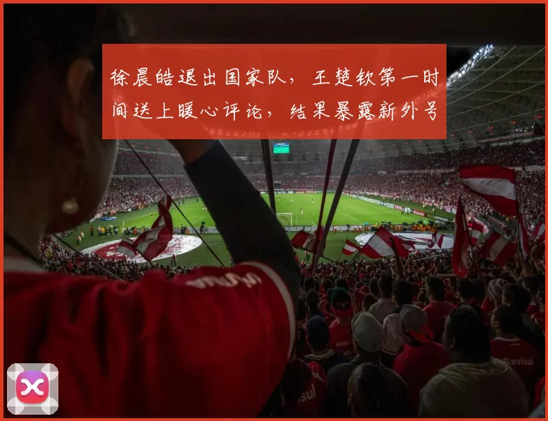 徐晨皓退出国家队，王楚钦第一时间送上暖心评论，结果暴露新外号
